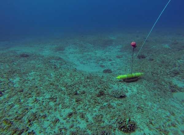 Oceanographic data taken over a fringing coral reef near Makua Beach, Oahu, Hawai'i (2013)