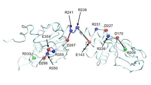 Data from: Electrostatic interactions as mediators in the allosteric activation of PKA RIalpha