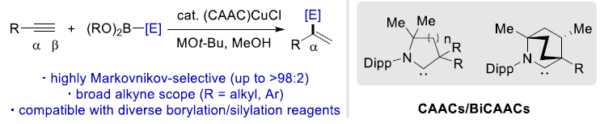 Data from: Cyclic(Alkyl)(Amino)Carbene Ligands Enable Cu-Catalyzed Markovnikov Protoboration and Protosilylation of Termin...
