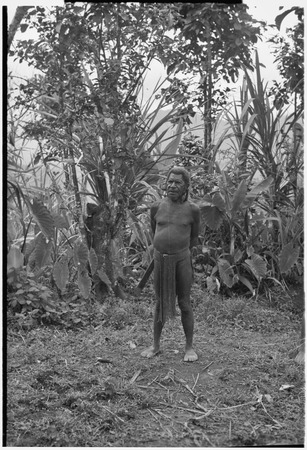 Man with bush knife stands near taro plants