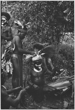 Pig festival, uprooting cordyline ritual, Tsembaga: men adorn themselves for ritual, wearing feather headdresses, man on l...