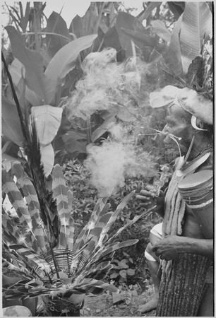 Pig festival, wig ritual: Wabi blows tobacco smoke spell onto feather headdress