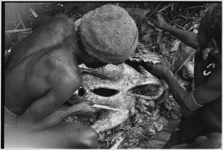 Bride price for Maima, food preparation: cassowary is butchered, its meat will be included in bride price payment