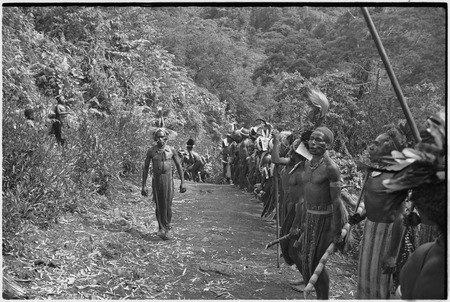 Pig festival, stake-planting, Tuguma: decorated men carrying cordyline, sugarcane, stakes and weapons, at enemy boundary