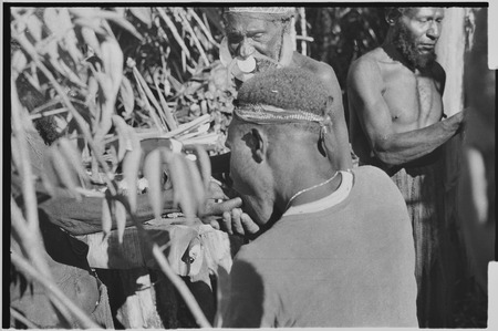 Returned laborers, purification ritual: man eats bespelled pork and yams, renouncing taboo