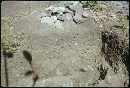 Vaiohu&#39;a archaeological excavation, Moorea: southeast quadrant, east wall