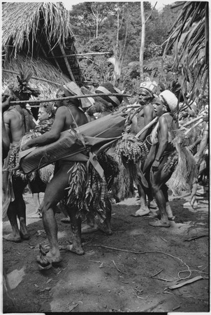 Pig festival, stake-planting, Tuguma: decorated men with stakes for enemy boundary, sing beside house