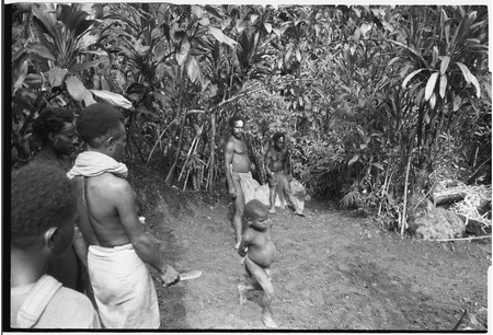 Men and child in clearing with plantings of cordyline