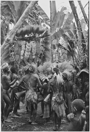 Bride price ritual: decorated men dance with payment banner of feather and shell valuables
