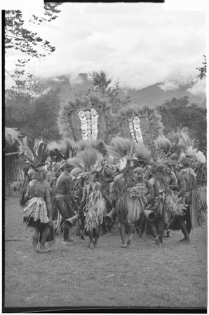 Bride price ritual: payment banners of shell and feather valuables, carried by decorated men from the groom&#39;s group