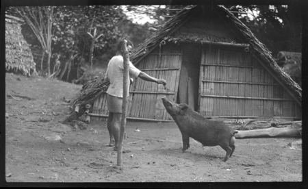 Man feeding a pig outside a house