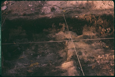 Hauiti archaeological excavation, Moorea: square V54