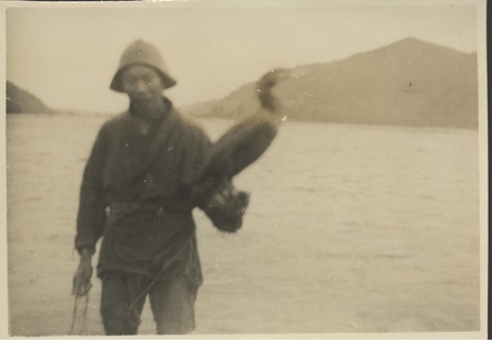 Fisherman using cormorant diving bird to fish, Japan, late 1940s