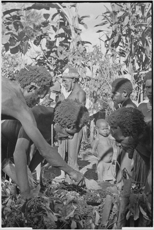 Returned laborers, purification ritual:: Mauwi bespells the cooked food