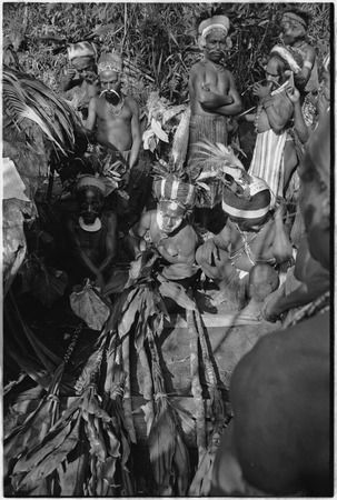 Pig festival, stake-planting, Tuguma: men prepare stakes, cordyline and aglaonema leaves for boundary ritual
