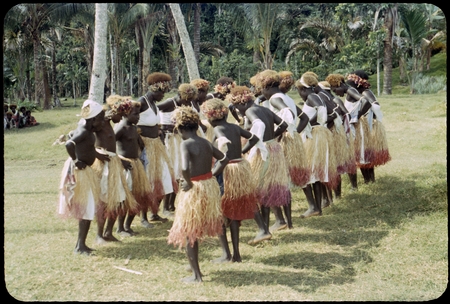 Dancers in grass skirts and matching headress, some with western dress or tops