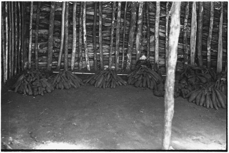 Wanuma-Kurum: yams piled inside yam house