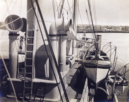 Deck of the U. S. Fisheries Commission steamer Albatross (ship), during a research trip by zoologist William Emerson Ritte...