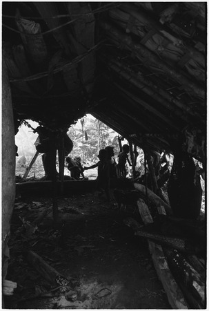 Pig festival, pig sacrifice, Tsembaga: interior view of shelter in ancestral shrine