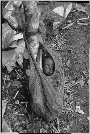 Infant asleep in netbag (bilum)