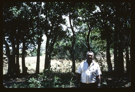 Portrait of a man with forest in the background.