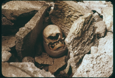 Skull in shrine
