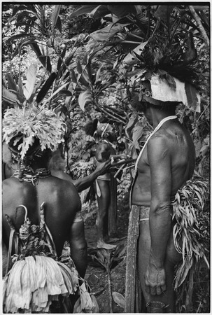 Pig festival, stake-planting, Tuguma: decorated men perform ritual to establish enemy boundary