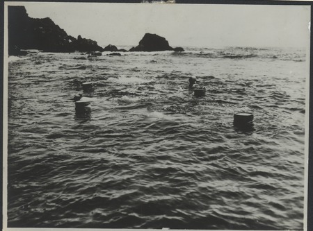 Kamogawa women diving for seaweed, abalone, &amp; oysters. Japan, c1947
