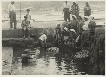 Seaweed gathered by female divers, brought to the dock to take to the seaweed processing/agar production site. Japan, c1947.