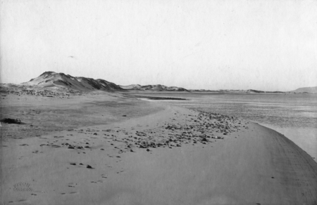 False Bay (later known as Mission Bay) collecting ground at low tide. 1906
