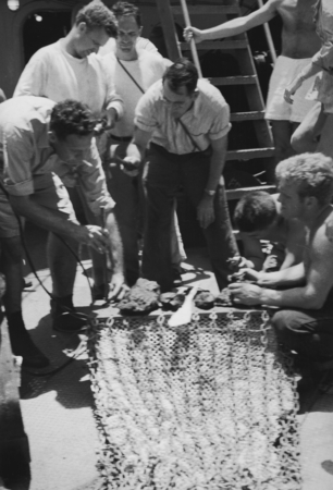 Researchers on Scripps Institution&#39;s first post war expedition into the Pacific Ocean, Operation MidPac in 1950, checking ...