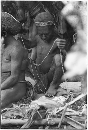 Pig festival, wig ritual, Tsembaga: man (l) in red wig is bedecked with strings of shell beads