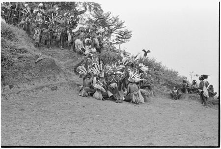 Pig festival, singsing, Tsembaga hosts Tsengamp: decorated men kneel together on dance ground