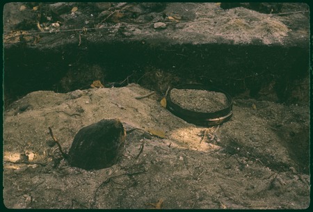 Hauiti archaeological excavation, Moorea: X54, north wall