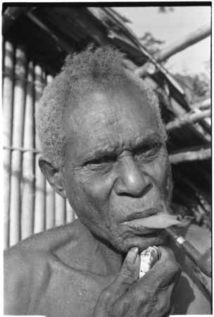 An elderly Kwaio man shaves by pulling out his whiskers with a clam shell.