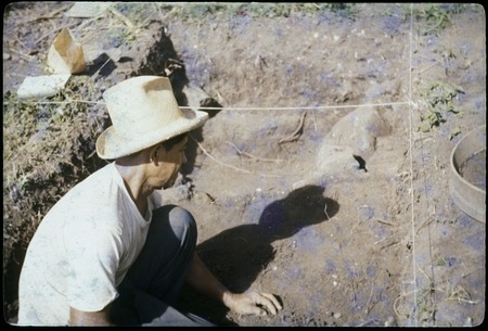 Vaiohu&#39;a archaeological excavation, Moorea: worker in handwoven hat