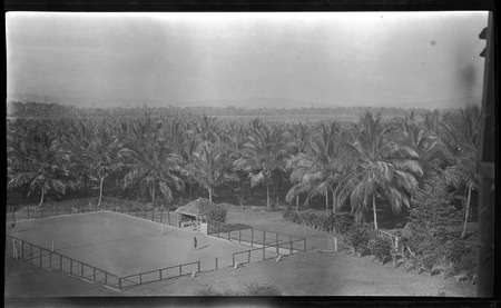 Tennis courts, Gili Gili Plantation, Milne Bay