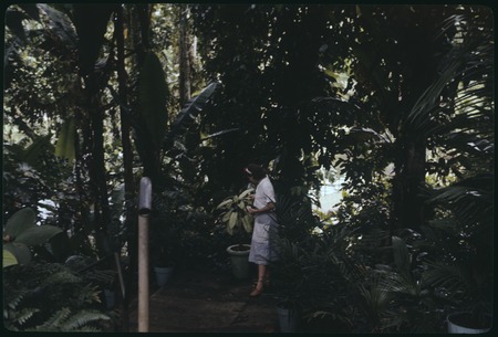 Ann Rappaport in botanical garden in Lae, Papua New Guinea