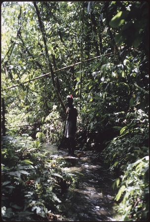 Man standing in creek