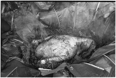 Bride price for Maima, food preparation: cassowary wrapped in leaves for cooking, meat will be included in bride price pay...