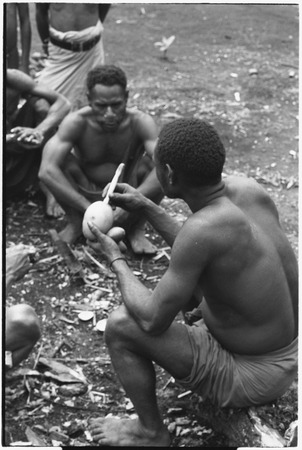 Tinami, Inland Bunabun: betel nut chewing, man holds gourd containing lime