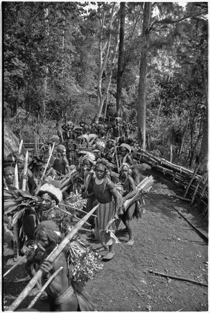 Pig festival, stake-planting, Tuguma: men charge with stakes, on way to help allies mark enemy boundary