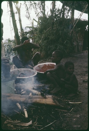 Food preparation: Mer, Kwinokwai and Konbek squeeze red juice from cooked pandanus fruit