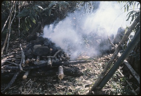 Pig festival, uprooting cordyline ritual, Tuguma: women heat stones for cooking pork and marsupials in ancestral shrine