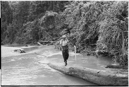 Schrader Range: Ann Rappaport crosses Anjimamp River, Korumbon-Ambaiat trail