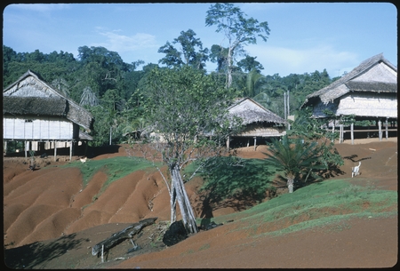 Village scene, Santa Isabel.