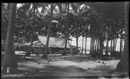 House and coconut trees, Vella Lavella