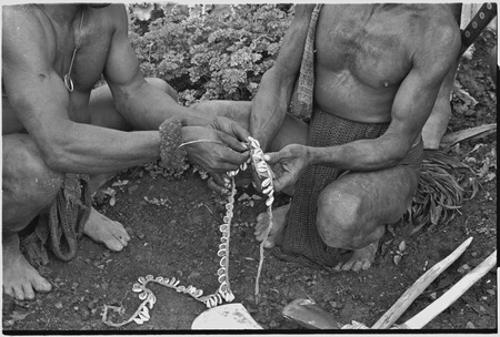 Ritual exchange: men with strand of cowrie shells