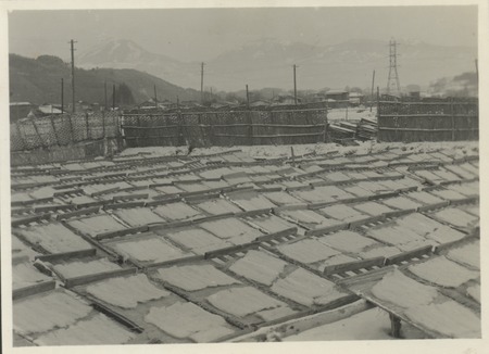 Agar produced from seaweed processing. Japan, c1947.