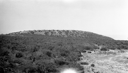 Second dune north near Socorro